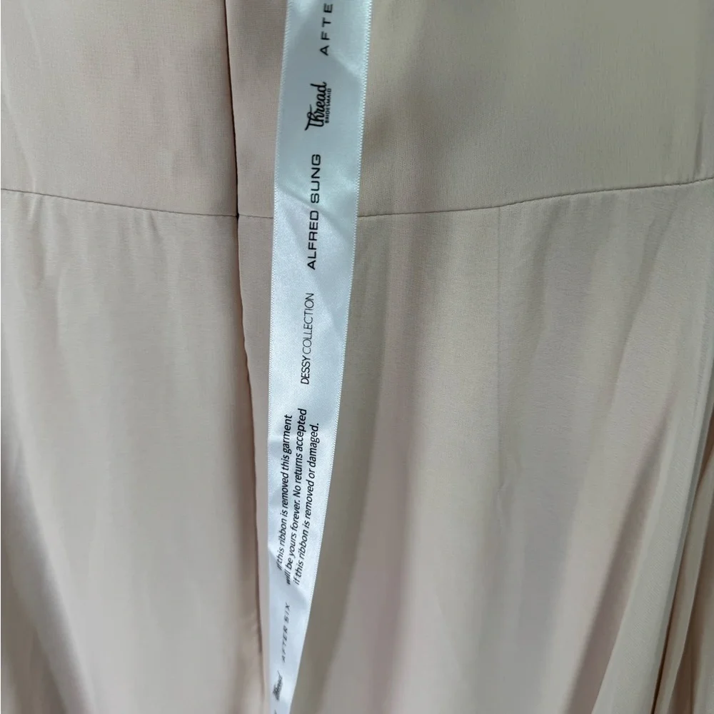 Thread Off-The-Shoulder Lux Chiffon Draped Neckline Maxi Dress Cameo 8R - Picture 5 of 11